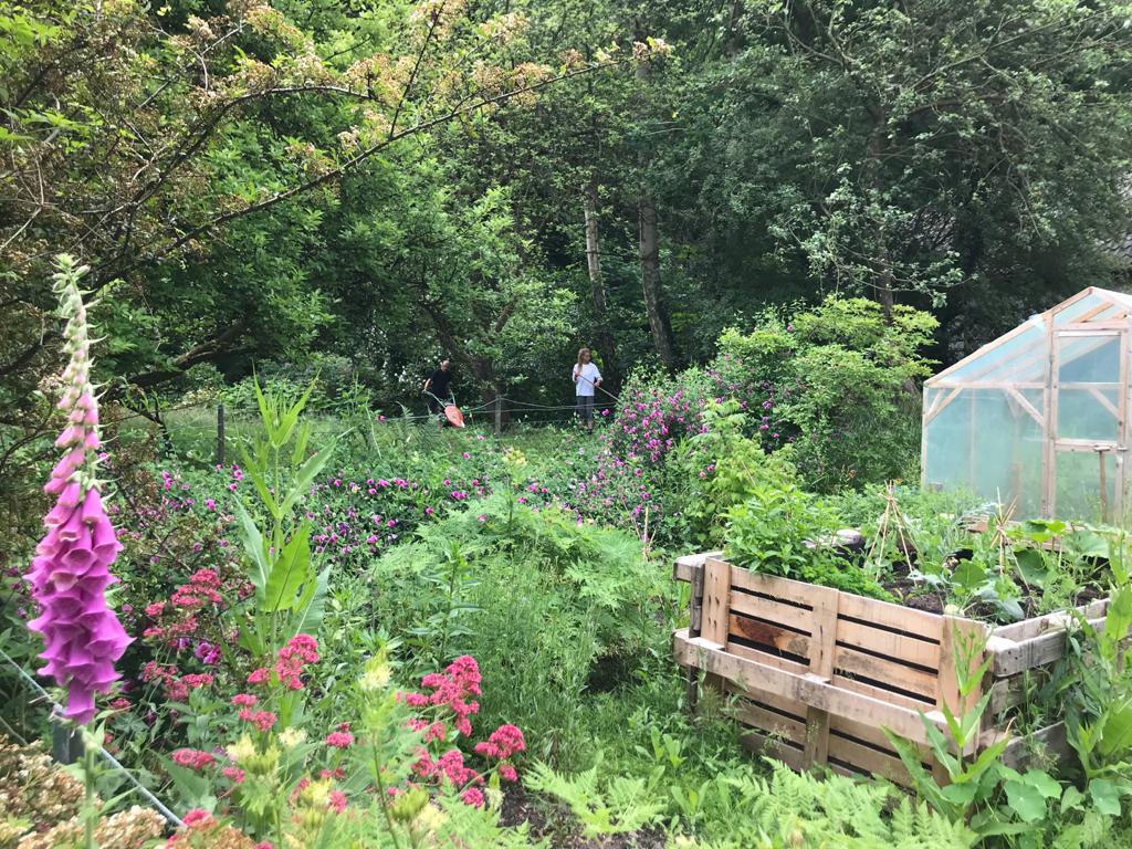 Wettbewerb “Klimafreundlicher Naturgarten” in Laboe: Auftakt am Di. 25. April 2023