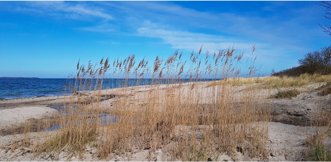 Online: Tourismus und Ostseeschutz – gegeneinander oder Hand in Hand?